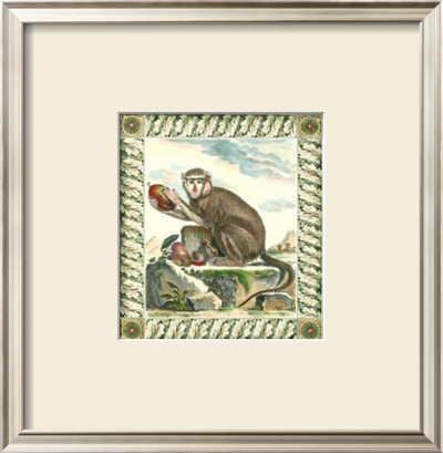 Black-Banded Patas Monkey by Georges-Louis Buffon Pricing Limited Edition Print image