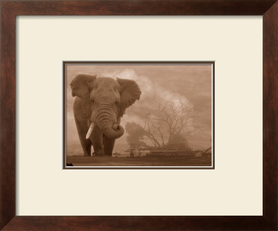 Big Bad Bull by Elizabeth Henry Pricing Limited Edition Print image