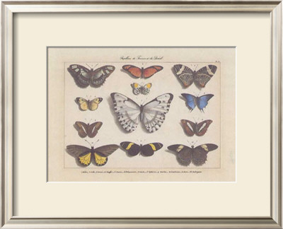 Papillons I by Pascal Cessou Pricing Limited Edition Print image