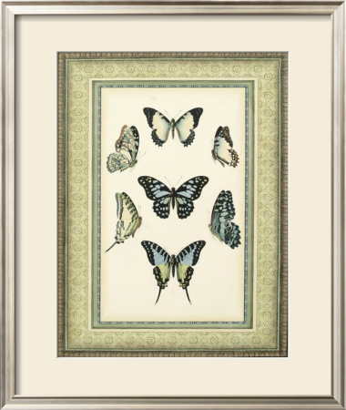 Papilio Collection Iii by Lebrun Pricing Limited Edition Print image