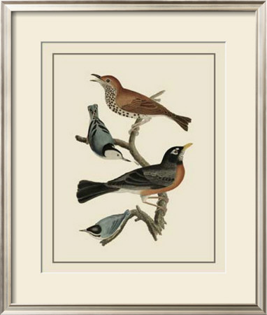 Bird Family I by A. Lawson Pricing Limited Edition Print image