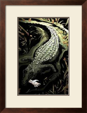 The Crocodile's Hand by Ali Naqvi Pricing Limited Edition Print image