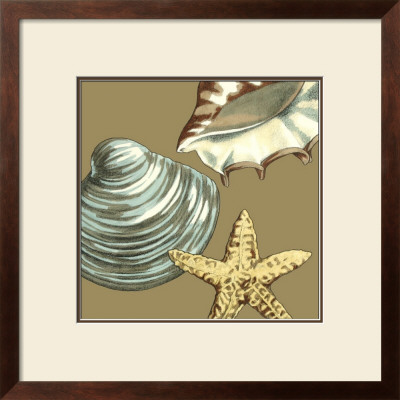 Shell Trio On Khaki Iv by Megan Meagher Pricing Limited Edition Print image