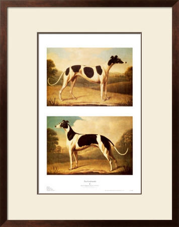 Two Greyhounds by Benjamin Killingbeck Pricing Limited Edition Print image