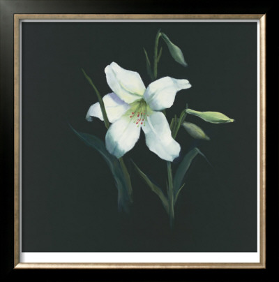 Floral Suite Iii by Rose Hohenberger Pricing Limited Edition Print image