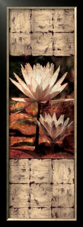 Waterlily Panel Ii by John Seba Pricing Limited Edition Print image