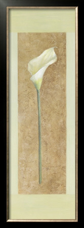 Calla Lily I by Lanie Loreth Pricing Limited Edition Print image