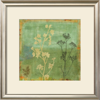 Eco-Floral I by Chris Donovan Pricing Limited Edition Print image