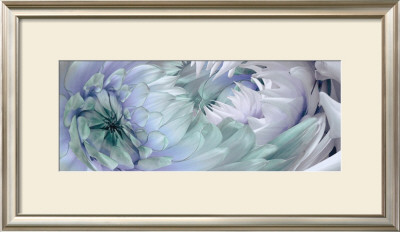 Dahlias Vi by Huntington Witherill Pricing Limited Edition Print image