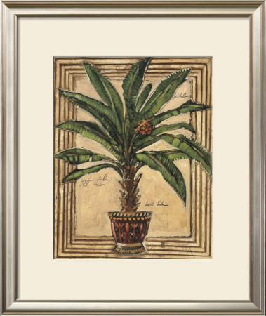 Potted Palm Ii by Alex Brewer Pricing Limited Edition Print image