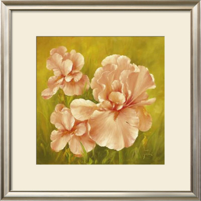 Summer Flair I by Fasani Pricing Limited Edition Print image