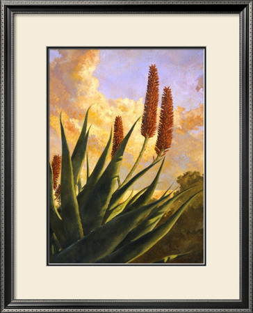 Aloes Glow by Rick Garcia Pricing Limited Edition Print image