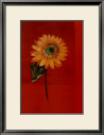 Flower On Red by Paul Hargittai Pricing Limited Edition Print image