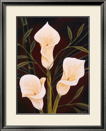 Botanical Elegance Ii by Yvette St. Amant Pricing Limited Edition Print image