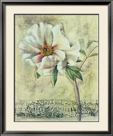 Floral Blush Iii by Dennis Carney Pricing Limited Edition Print image
