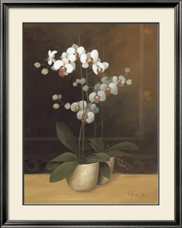 Tropic Orchids I by Franz Heigl Pricing Limited Edition Print image