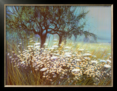 Field Of Daisies by G. Michaud Pricing Limited Edition Print image