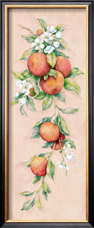 Oranges by Clare Lake Pricing Limited Edition Print image
