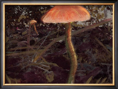 Forest Floor I by Alicia Ludwig Pricing Limited Edition Print image
