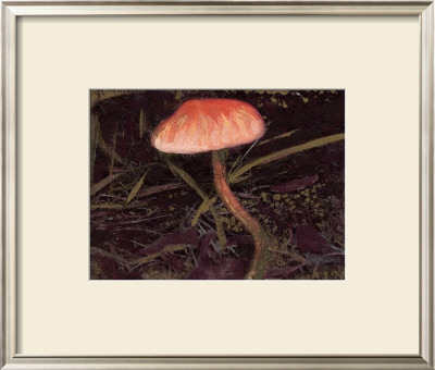 Forest Floor Ii by Alicia Ludwig Pricing Limited Edition Print image