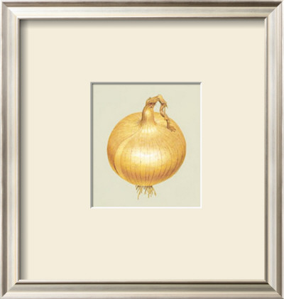 Onion by Alex Bloch Pricing Limited Edition Print image