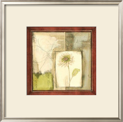 Pressed Flower Collage Iv by Jennifer Goldberger Pricing Limited Edition Print image
