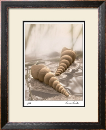 Seashore Turitella by Donna Geissler Pricing Limited Edition Print image