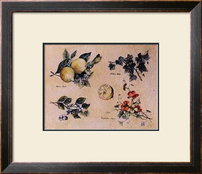 Winter Fruits by Susan Zulauf Pricing Limited Edition Print image
