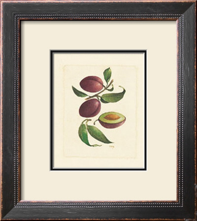 Plums by Linda Casey Pricing Limited Edition Print image