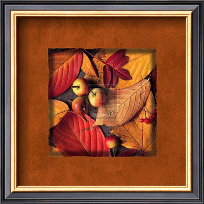 First Fall Iv by Bill Philip Pricing Limited Edition Print image