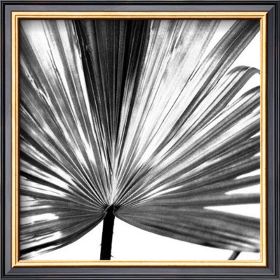 Black And White Palms Iii by Jason Johnson Pricing Limited Edition Print image