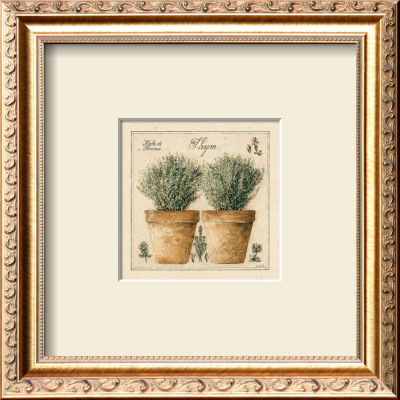 Herbes De Provence, Thym by Laurence David Pricing Limited Edition Print image