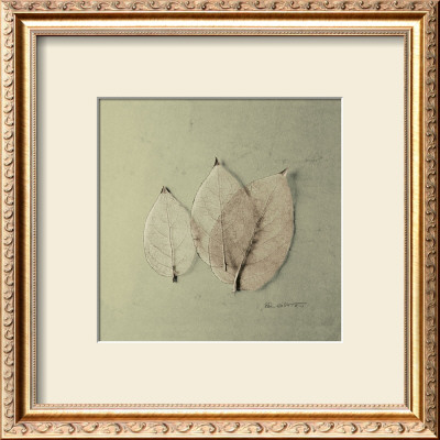 Trio Of Skelton Leaves by Ed Goldstein Pricing Limited Edition Print image