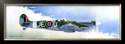 Spitfire Mk9 by Douglas Castleman Pricing Limited Edition Print image