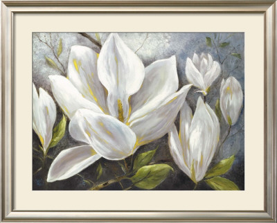 Tender Magnolias Ii by Anna Field Pricing Limited Edition Print image