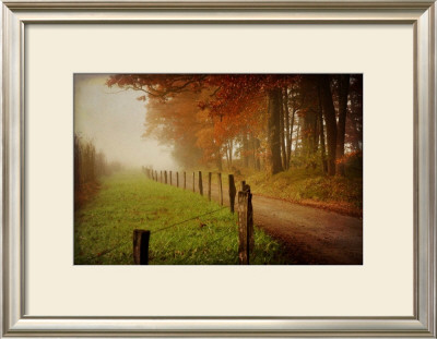 Foggy Morning On Hyatt Lane by Danny Head Pricing Limited Edition Print image