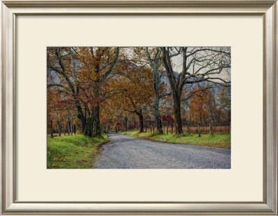 Morning On Sparks Lane I by Danny Head Pricing Limited Edition Print image