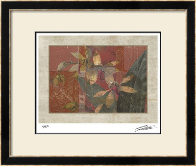 Coral Orchids  Ii by John Butler Pricing Limited Edition Print image