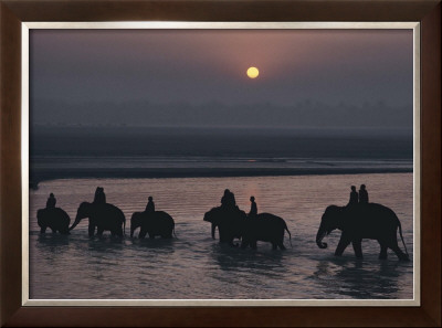 Elephants Lumber Into River At Sonpur by George F. Mobley Pricing Limited Edition Print image