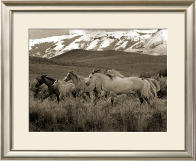 Horses Running I by Robert Dawson Pricing Limited Edition Print image