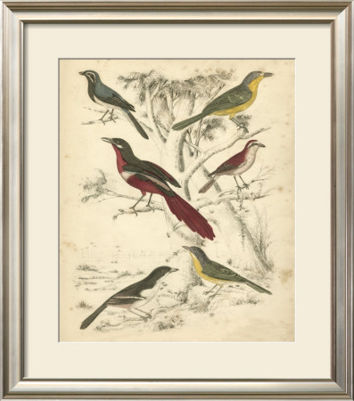 Avian Habitat Iv by Milne Pricing Limited Edition Print image