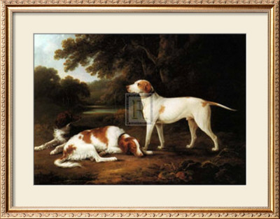 Pointer And Two Spaniels In A Park by C. Schwanfelder Pricing Limited Edition Print image