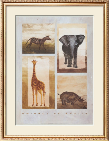 Animals Of Africa by Emmanuelle Teyras Pricing Limited Edition Print image