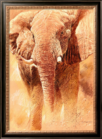 Elephant Study by Renato Casaro Pricing Limited Edition Print image