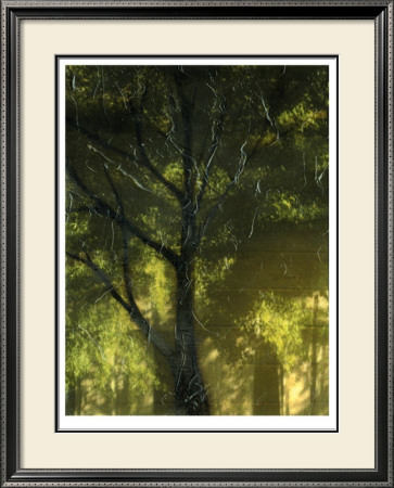 Shaded Reflection I by Jennifer Goldberger Pricing Limited Edition Print image