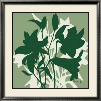 Sage Lilies Ii by Franz Heigl Pricing Limited Edition Print image