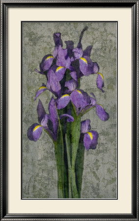 Purple Iris by John Seba Pricing Limited Edition Print image