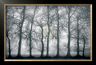 Silver Mists by Bill Philip Pricing Limited Edition Print image