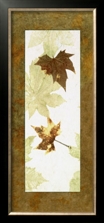 Falling Leaves I by Phillip Jaeger Pricing Limited Edition Print image