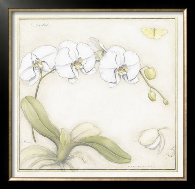 White Orchid by Meg Page Pricing Limited Edition Print image